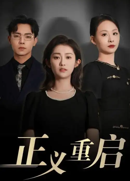 都市轻喜剧十二楼的春天全集免费在线观看